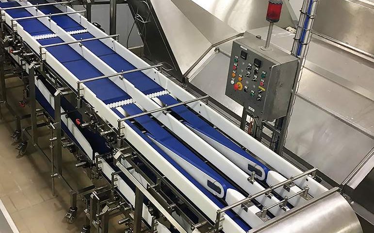 Nastri-trasportatori-a-tappeto-inox-cmp-srl